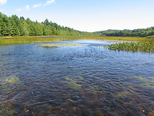 (1) Small river pond - Mushamush River - Nova Scotia