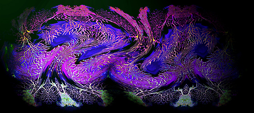 (5) A Mermaids Purple Veil Fantasy